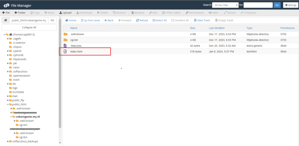 Cara Addon Domain di cPanel 10