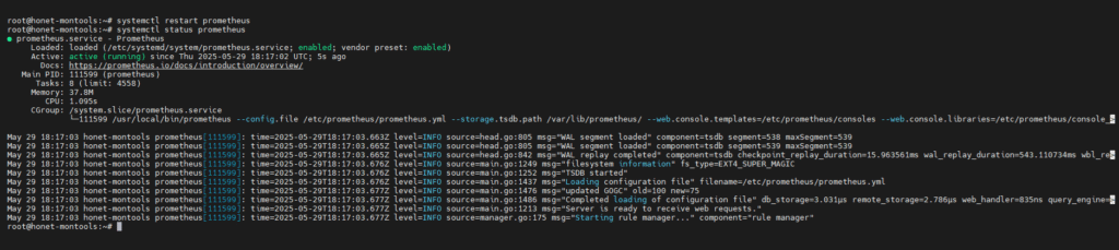 restart service prometheus
